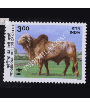 INDIGENOUS BREEDS OF CATTLE GIR COMMEMORATIVE STAMP