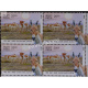 India 2013 Wild Asses Of Kutchh And Ladakh Ghor Kharkutch Asses Mnh Block Of 4 Stamp