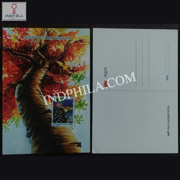 Nature India Peacock Maxim Cards.jpg