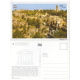 Chittorgarh Fort Picture Post Card