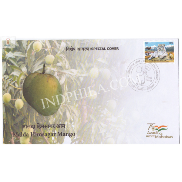 India 2021 Gi Tag Special Cover Of Malda Himsagar Mango Was Released On 18th October 2021 Siliguri West Bengal