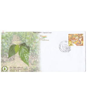 India 2021 Gi Tag Special Cover Of Tirur Vettila Ulpadaka Sangham Was Released On 13th September 2021 Tirur Kerala