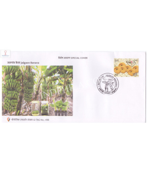 India 2022 Gi Tag Special Cover Of Jalgaon Banana Was Released On 11th October 2022 Maharashtra