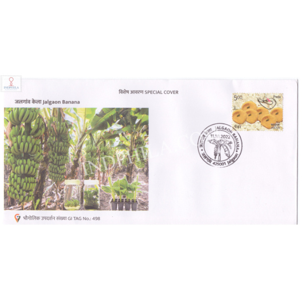 India 2022 Gi Tag Special Cover Of Jalgaon Banana Was Released On 11th October 2022 Maharashtra