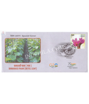 India 2023 Gi Tag Special Cover Of Banaras Paan Was Released On 19th May 2023 Varanasi Uttar Pradesh