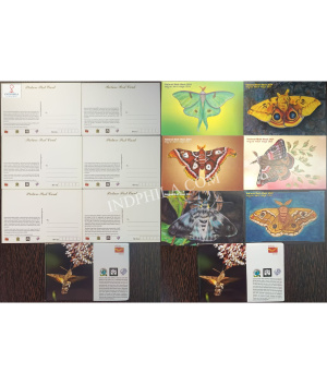 National Moth Week 2024 Set Of 6 Picture Post Card