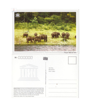 Periyar National Park Picture Post Card