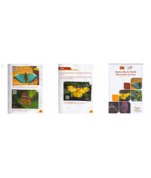 Presentation Pack Of Butterfly And Moth Diversity In Goa 10 Picture Postcards