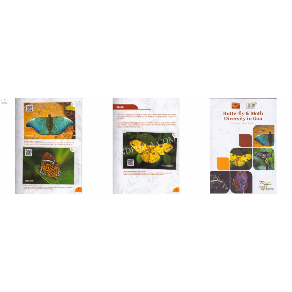 Presentation Pack Of Butterfly And Moth Diversity In Goa 10 Picture Postcards