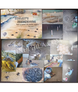 Presentation Pack On Olive Ridely Sea Turtles 19 Picture Postcards 10 Mint And 9 Cancelled