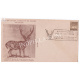 India 1975 Special Cover Of Copex 1975 Preserve Wildlife 1975