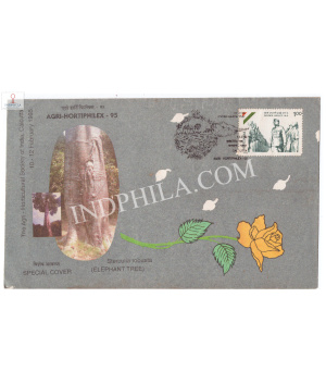 India 1995 Special Cover Of Agri Hortiphilex 1995 Environment Day Elephant Tree Culcutta