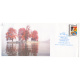 India 2011 Special Cover Of Char Chinar 2011