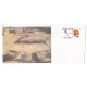 India 2011 Special Cover Of Jammu Stamps Show 2011 Ambaran