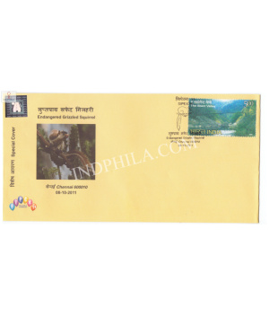 India 2011 Special Cover Of Sipex 2011 Endangered Grizzled Aquirrel Chennai