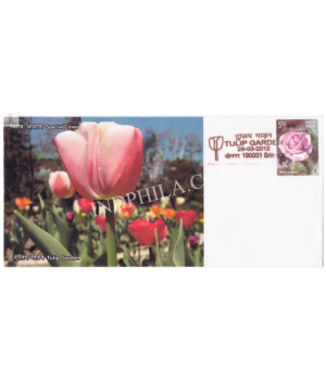 India 2012 Special Cover Of Tulip Rose Garden 2012 Srinagar