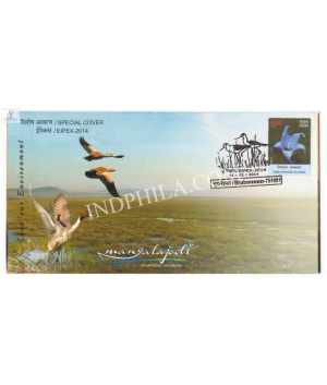 India 2014 Special Cover Of Eipex 2014 Save Our Environment Bhubaneswar