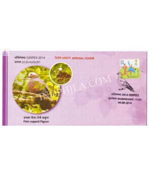 India 2014 Special Cover Of Odipex 2014 Pale Capped Pigeon Bird Bhubaneswar