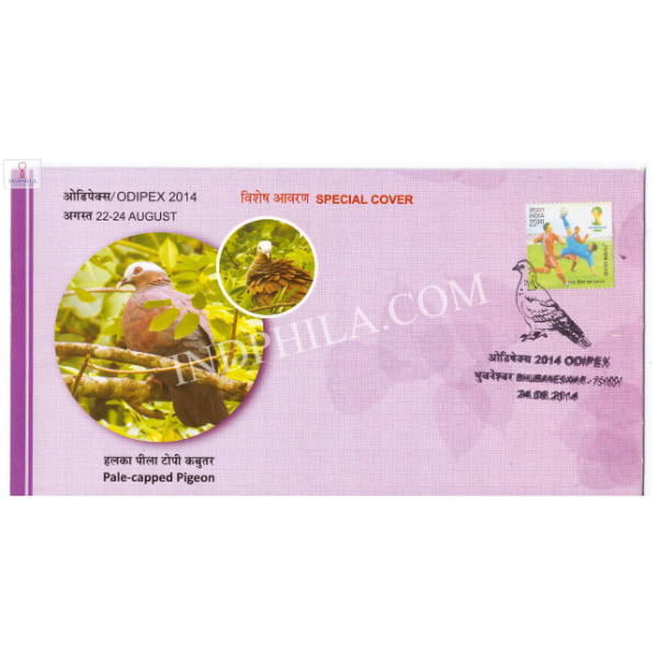 India 2014 Special Cover Of Odipex 2014 Pale Capped Pigeon Bird Bhubaneswar