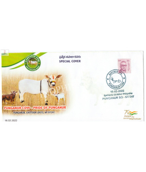 India 2022 Special Cover Of Punganur Cow Pride Of Punganur 2022