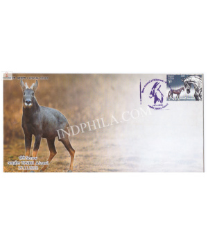 India 2022 Special Cover Of State Animal Of Mizoram Serow 2022 Aizawl