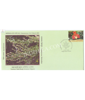 India 2022 Special Cover Of Yamuna Tulsi Kunj Artemisia Vulgaris 2022 Dehradum