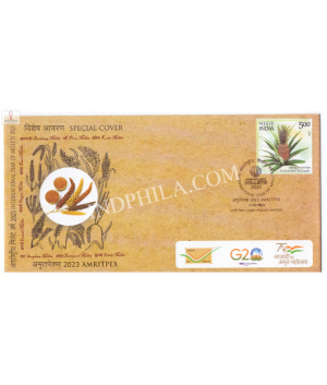 India 2023 Special Cover Of Amritpex 2023 International Year Of Millets