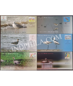 India 2024 Set Of 6 Special Cover From Point Calimere Wildlife Santury Kodiakkarai Crab Plover Bar Headed Goose Eurasian Curlew Greater Flamingo Marsh Sandpiper Heuglins Gull 2024