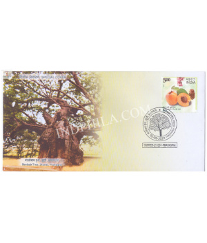 India 2024 Special Cover Of Baobab Tree Jhunsi Prayagraj 2024