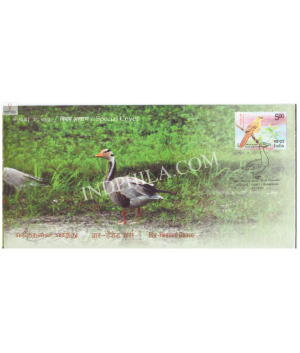 India 2024 Special Cover Of Bar Headed Goose From Point Calimere Wildlife Santury Kodiakkarai 2024