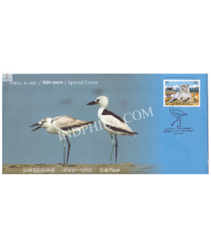 India 2024 Special Cover Of Crab Plover From Point Calimere Wildlife Santury Kodiakkarai 2024