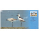 India 2024 Special Cover Of Crab Plover From Point Calimere Wildlife Santury Kodiakkarai 2024