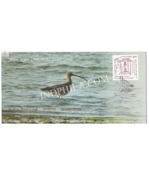 India 2024 Special Cover Of Eurasian Curlew From Point Calimere Wildlife Santury Kodiakkarai 2024