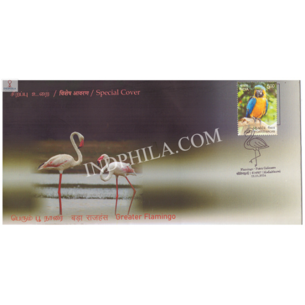 India 2024 Special Cover Of Greater Flamingo From Point Calimere Wildlife Santury Kodiakkarai 2024