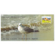 India 2024 Special Cover Of Heuglins Gull From Point Calimere Wildlife Santury Kodiakkarai 2024